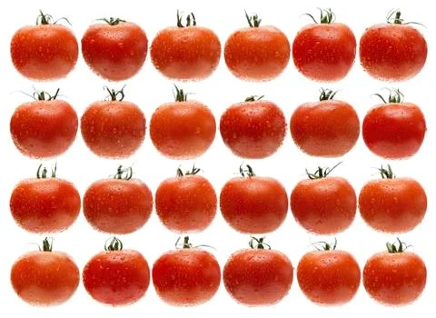 24 Tomatoes Stock Photos
