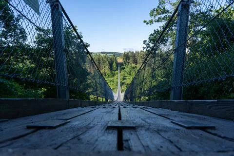 The Geierlay Suspension Bridge against the background of lush greenery. Sosberg, Germany. xkwx adventure bridge countryside dark foliage forest geierlay germany green hiking landscape long lush metal nature park path perspective shadowy sosberg span summer suspension trail travel trees wooden woodland woods