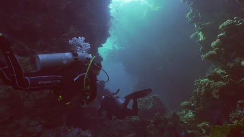   Stock Footage 242774370