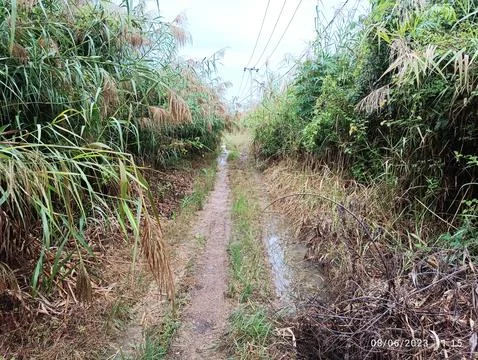 𝘔𝘺𝘴𝘵𝘪𝘤𝘢𝘭 𝘱𝘢𝘵𝘩 Stockfoto's