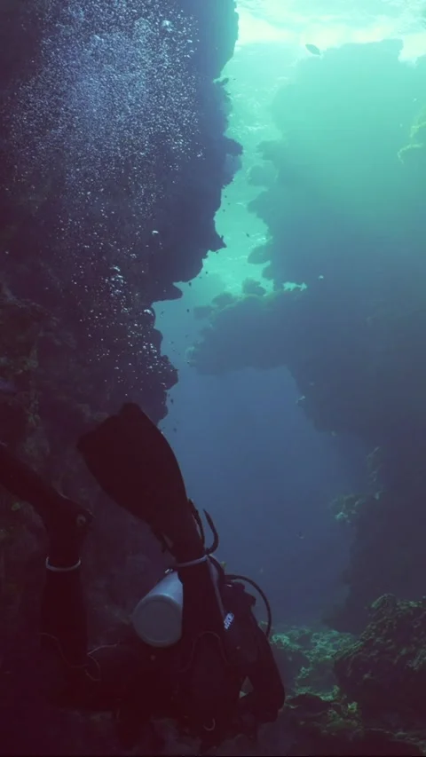   Stock Footage 243704479