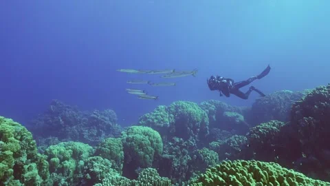   Video stock 243704500