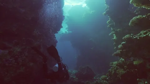   Stock Footage 244518660