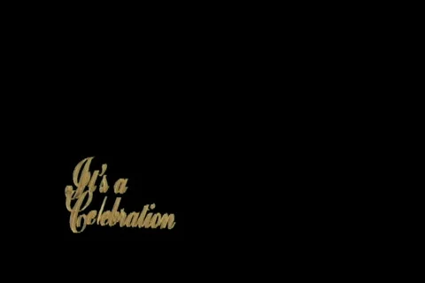 2459 Lower Third bridal party intro Stock Footage 852059