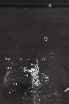 Close up of water drop falling into water with ripples and copy space on black background. Water, liquid and colour concept. xkwx No People Close Water Drop Falling Water Ripple Copy Space Black Background Liquid Colour Concept Drop Splash Abstract Design Background Wet Flow Fluid Closeup Illustration Wave Macro Business Graphic Symbol Flowing Isolated Color Drink Clean Water Falling Copy Space Black