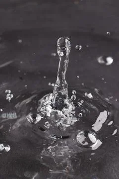 Close up of water drop falling into water with ripples and copy space on black background. Water, liquid and colour concept. xkwx No People Close Water Drop Falling Water Ripple Copy Space Black Background Liquid Colour Concept Drop Splash Abstract Design Background Wet Flow Fluid Closeup Illustration Wave Macro Business Graphic Symbol Flowing Isolated Color Drink Clean Water Falling Copy Space Black