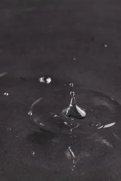 Close up of water drop falling into water with ripples and copy space on black background. Water, liquid and colour concept. xkwx No People Close Water Drop Falling Water Ripple Copy Space Black Background Liquid Colour Concept Drop Splash Abstract Design Background Wet Flow Fluid Closeup Illustration Wave Macro Business Graphic Symbol Flowing Isolated Color Drink Clean Water Falling Copy Space Black