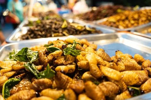Strange food, weird food. deep fried insects, local street food in night market, thailand. Pupa, silkworm fried food, fried insect larvae snack as exotic in Asia, Thailand. insects protein snacks. xkwx food organic eat market cuisine natural healthy thailand asian larvae background asia delicious thai traditional worm larva bug grasshopper edible tasty cooked fried sago meal meat fry insect animal protein nutrition maggot protein street edible insects nature indonesia borneo malaysia maggot tropical dish crunchy freshness closeup brown alternative protein cricket locust fabric fried insects
