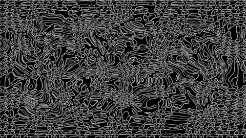 249 Turbulent b&amp;amp;w edges inv 100 200 3 Stock Footage 296980414