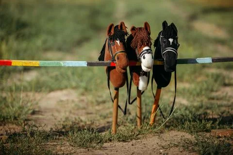 Equipment for hobbyhorsing. Three toys for hobbyhorsing. Toys stand on the obstacle for jumping. xkwx Hobbyhorsing jockey horses toys background jumping three horses obstacle competition race active bridle sport passion game teenagers children adults hobby horse emotions European equipment trip jump run stick toy physical barrier height up outdoor recreation health brown black childhood mane mood upclose