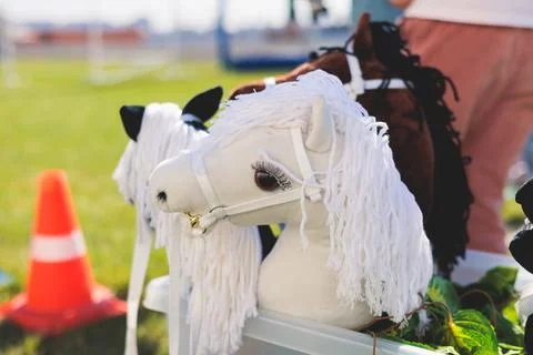 Hobby horsing competition on a green grass, hobby horse riders jumping, equestrian sport training with stick toy horses in a summer sunny day, equipment for hobbihorsing xkwx barrier stick horse horse on a stick jockey toy horses sweden jumper cup equipment summer derby equitation dressage equestrian plush toy horseback children hobbihorsing jump russia running finland finnish horse head hobby-horse fence sport competition hobbyhorse horses sports jumping hobby germany horsemanship hobbyhorses hobby horsing toy ride horseman show jumping training obstacle race hobby horse rider steeplechase festival kids jumping competition