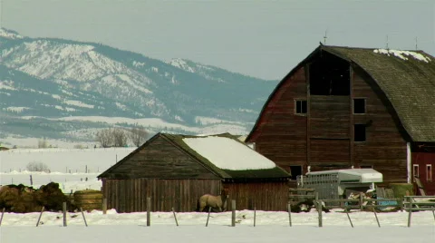 24p RED BARN WINTER CU Video stock 723595