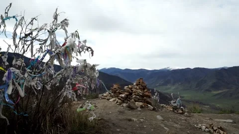 25 early spring high in the mountains, strings on the branches of a bush, cu Stock Footage 264104030