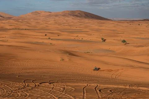25 March 2026, Erg Chebbi, Morocco. Solitary biker traverses the vast dunes Stock Photos