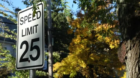 25 MPH SIGN 스톡 동영상 181010212