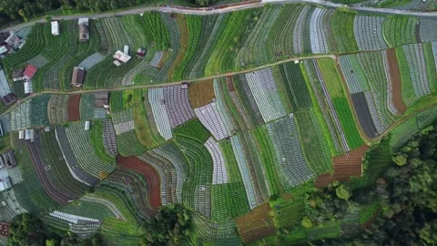 251117 NEPAL VAN JAVA 36 스톡 동영상 322206951