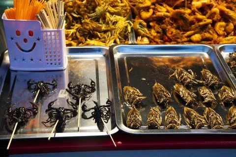Thai vendor merchant cooked local exotic cuisine from bug and herbal or food fried insect with herb at stall hawker for sale traveler people travel visit in street market bazaar in Nonthaburi Thailand xkwx asia meal eat organic thailand fried thai silkworm worms bug insect cricket herbal herb animal appetizer calorie caterpillar cooked crispy crunchy cuisine delicious edible exotic food gourmet grasshopper healthy insects larva locust maggot market nutrition protein snack tasty worm energy bugs bazaar flavor street taste travel yummy pimp scorpion scorpions