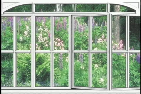 2528 garden window pane Stock Footage 809180