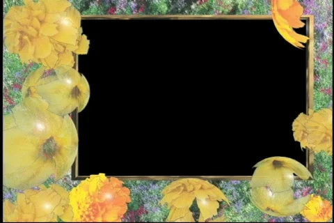 2536 bubble flowers Stock Footage 809017