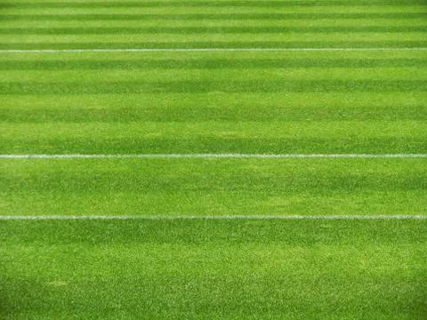 253.Lawn1 Stock Photos