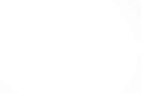 254 white background Foto stock