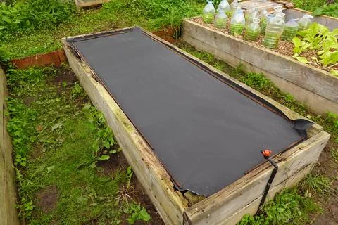 mulching raised wooden bed with paper. preparing vegetable garden with paper in the ecological family garden xkwx protection protect mulch organic garden seedling no dig gardening paper wood chippings grow plantation mulching gardener agricultural gardening crop cultivate garden background kitchen garden community garden urban garden urban gardening contained backyard garden raised bed organic vegetable garden cultivating vegetable garden raised beds backyard nobody horticultural soil organic produce growth outdoor horticulture growing vegetable