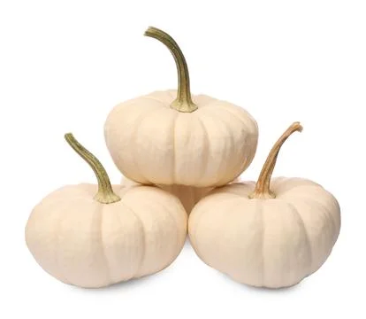 Many ripe beige pumpkins isolated on white xkwx agriculture autumn autumnal background beautiful beige bright color decoration decorative delicious eat fall farm food fresh gourd group harvest healthy holiday ingredient isolated many natural nobody nutrition object october organic product pumpkin pumpkins raw ripe rustic season seasonal squash stem symbol tasty treat vegan vegetable vegetarian veggie vitamin white whole