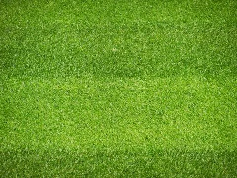 255.Lawn3 Stock Photos