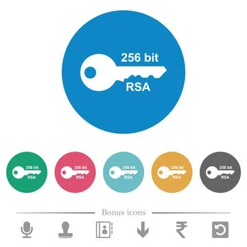 256 bit rsa encryption flat round icons Stock Illustration