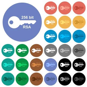 256 bit rsa encryption round flat multi colored icons Stock Illustration