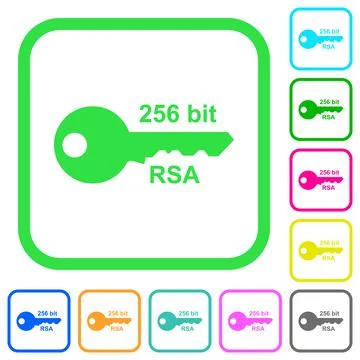 256 bit rsa encryption vivid colored flat icons Stock Illustration