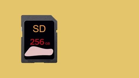 256gb Sd Card paning image Vídeo Stock 142378280