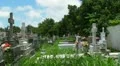 25p Caribbean graveyard - cemetery HD Footage