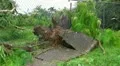 25p Hurricane Irene Aftermath-9 HD Footage
