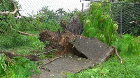 25p Hurricane Irene Aftermath-9 Stock Footage 9917890