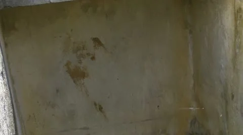 25p skull and bones in grave Stock Footage 10004604