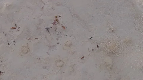 25s Gas Bubbling Through Sand on Beach in Zanzibar No Audio Stock Footage 246545273