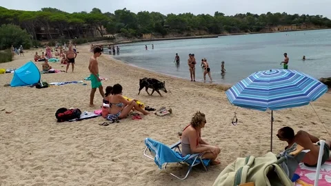 26 7 2021 Cala Garibaldi, Italy Stock Footage 161737894