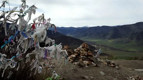 26 early spring high in the mountains, strings on the branches of a bush, cu Stock Footage 264104029
