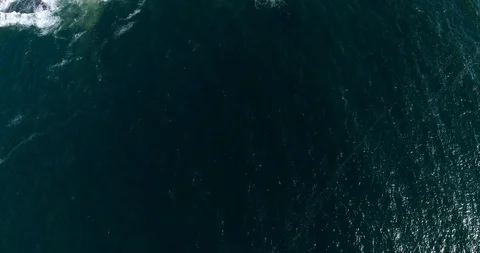 26 Stock Footage 91373904