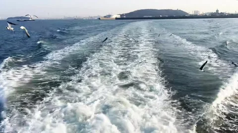 260228 13 動画素材 329921565