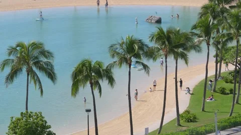 26/05/2024. View of Waikiki Beach with palm trees, turquoise water Stock Footage 288564261