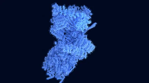 The 26S proteasome going through several conformations after being activated. Stock Footage 241593812