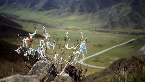 27 early spring high in the mountains, strings on the branches of a bush, cu Vídeos de archivo 264104055