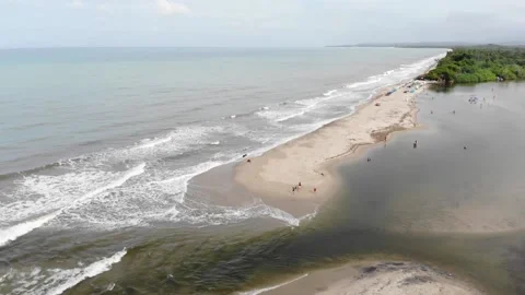 27 Palomino Stock Footage 135764857