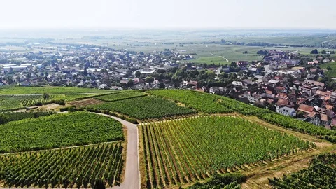 270° drone view over the vineyards of Alsace, France Stock Footage 130073065