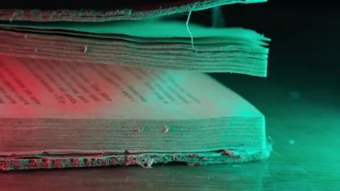 2708 Stock Footage 172439133