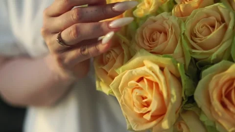 ??????? Stock Footage 277594838