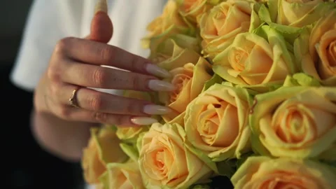 ??????? Stock Footage 277594850