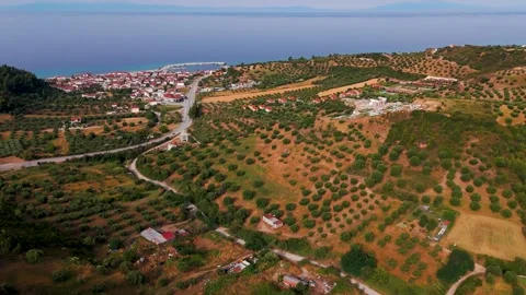 Wide Shot Nea Skioni Fishing Port, Kassandra, Halkidiki, Greece - Aerial Drone Wide Shot Nea Skioni Fishing Port, Kassandra, Halkidiki, Greece - Aerial Drone